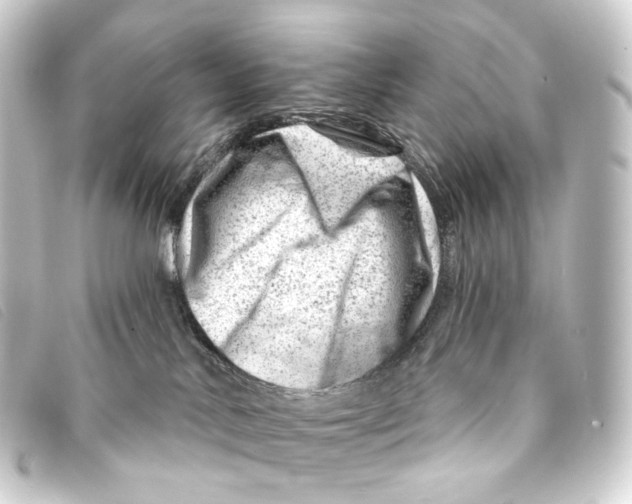 X0000093210042200710241206