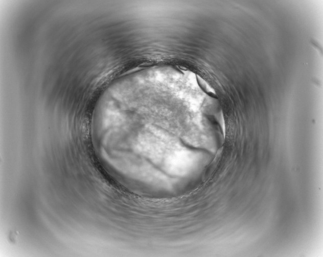 X0000093210043200710241206
