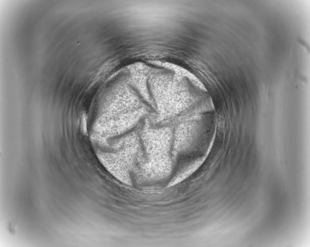 X0000093210046200710241206