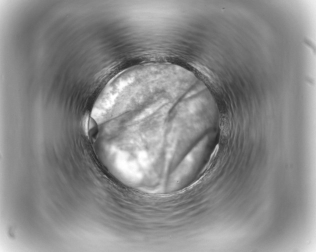 X0000093210047200710241206
