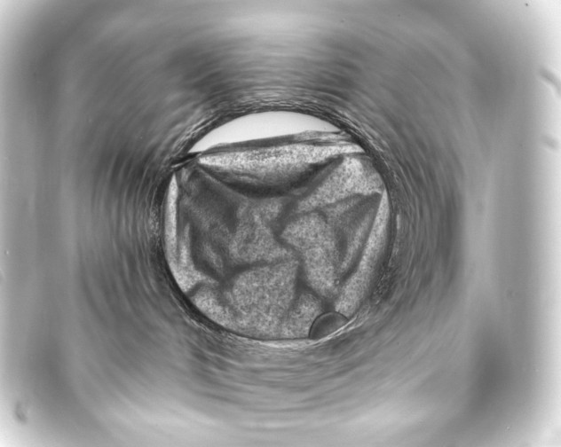 X0000093210048200710241206