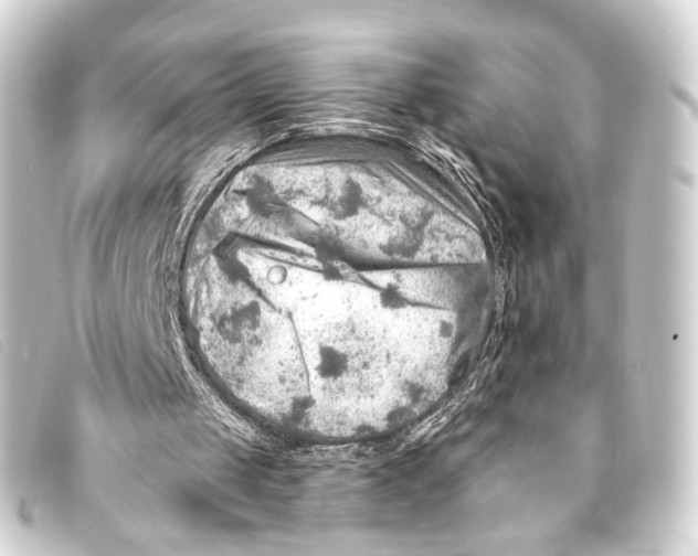 X0000093210049200710241205