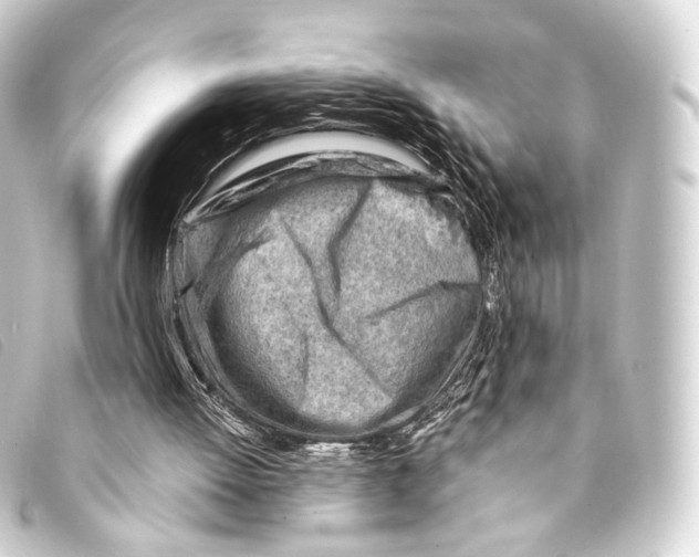 X0000093210052200710241205