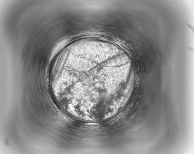 X0000093210053200710241205