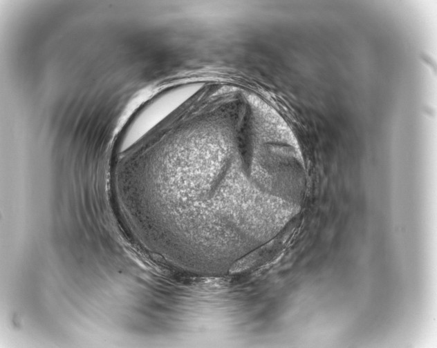 X0000093210056200710241205
