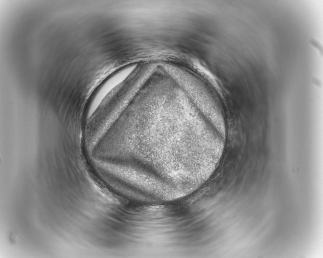 X0000093210059200710241205