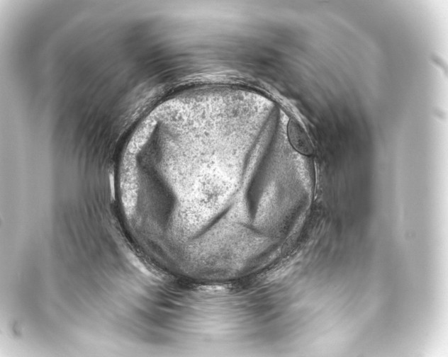 X0000093210061200710241205