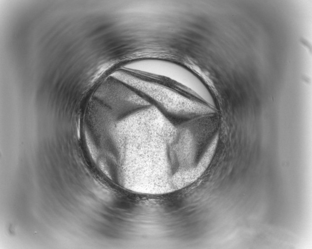 X0000093210062200710241205