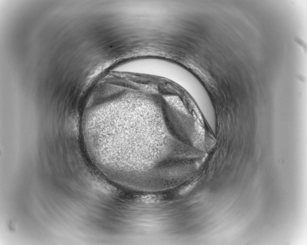 X0000093210064200710241205