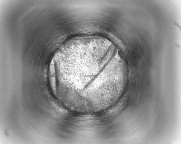 X0000093210065200710241205