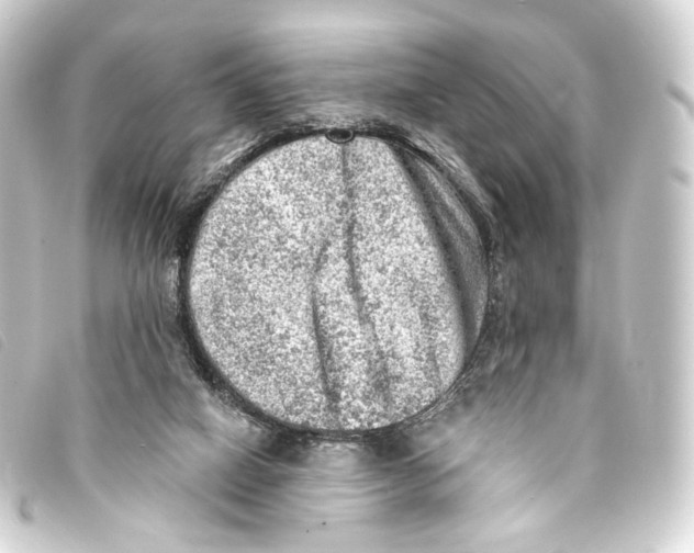 X0000093210066200710241205