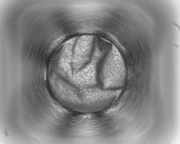 X0000093210068200710241205