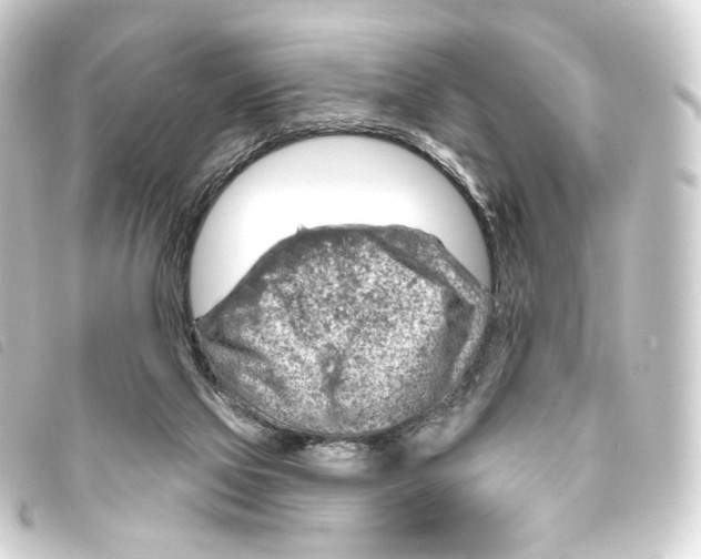 X0000093210069200710241205