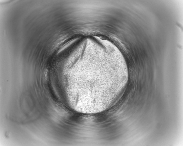 X0000093210071200710241205
