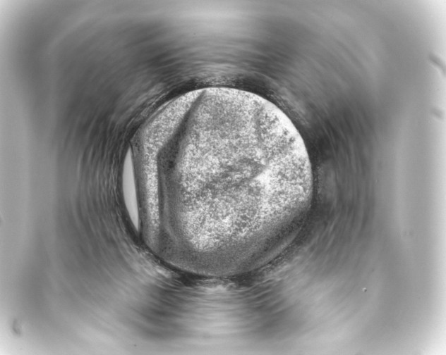 X0000093210073200710241205