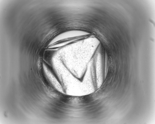 X0000093210074200710241205