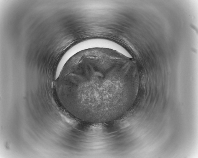 X0000093210076200710241205