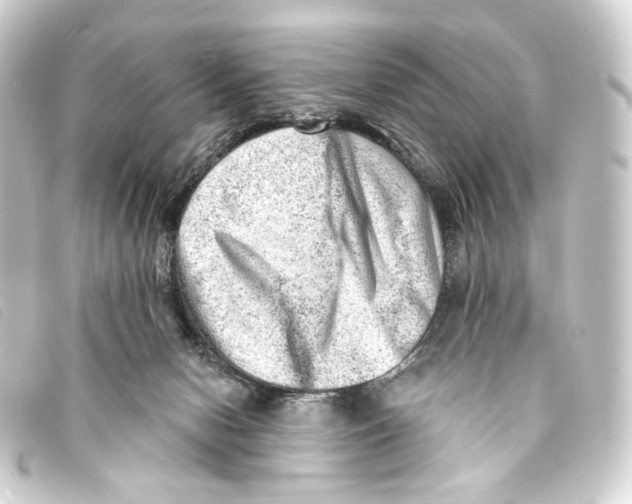 X0000093210078200710241205