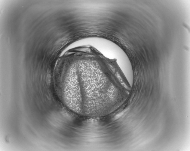 X0000093210080200710241206