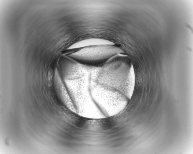 X0000093210082200710241206