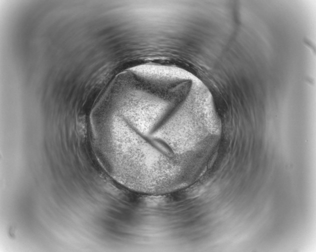 X0000093210085200710241206