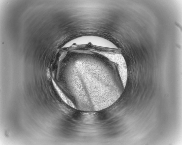 X0000093210089200710241206