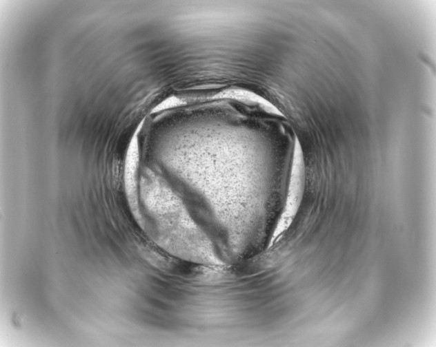 X0000093210093200710241206