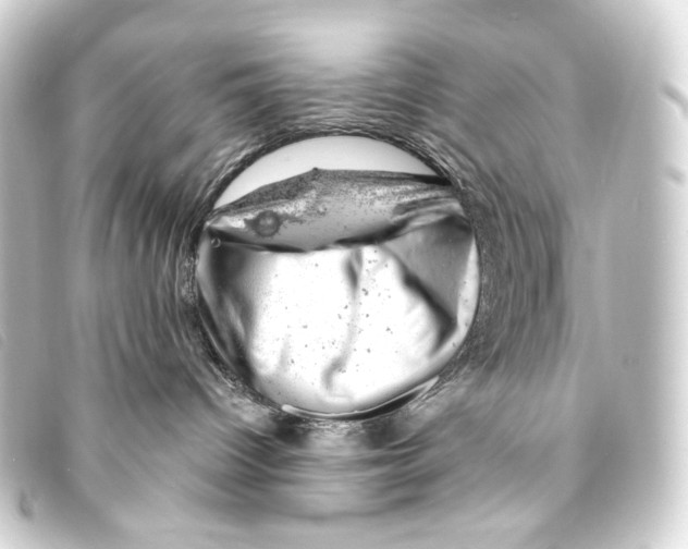 X0000093210096200710241206