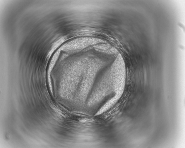 X0000093210099200710241205