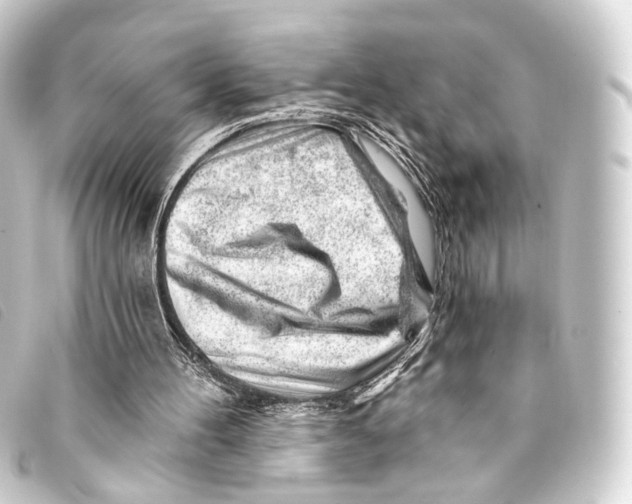 X0000093210100200710241205