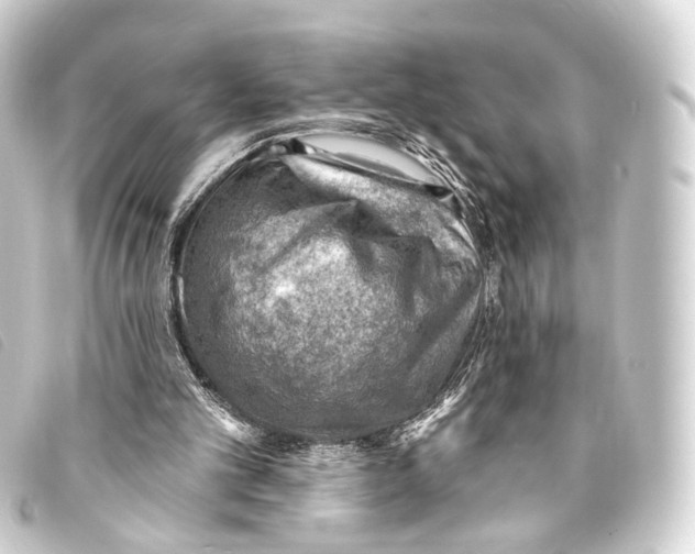 X0000093210101200710241205