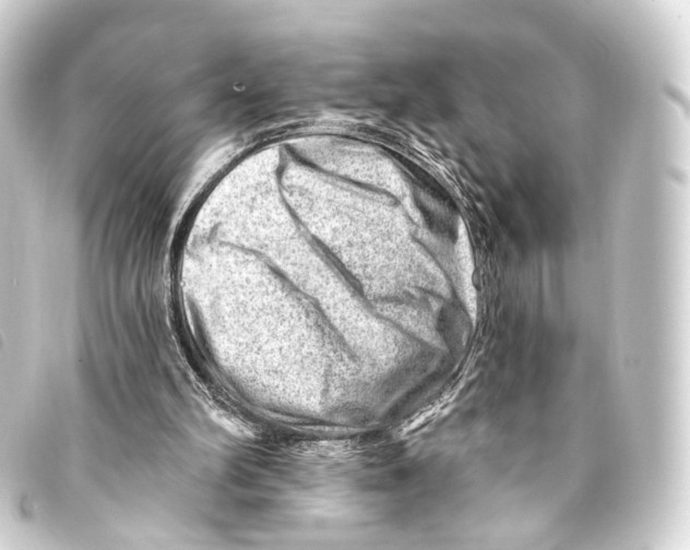 X0000093210102200710241205