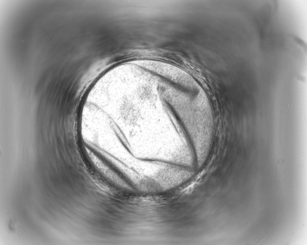 X0000093210103200710241205