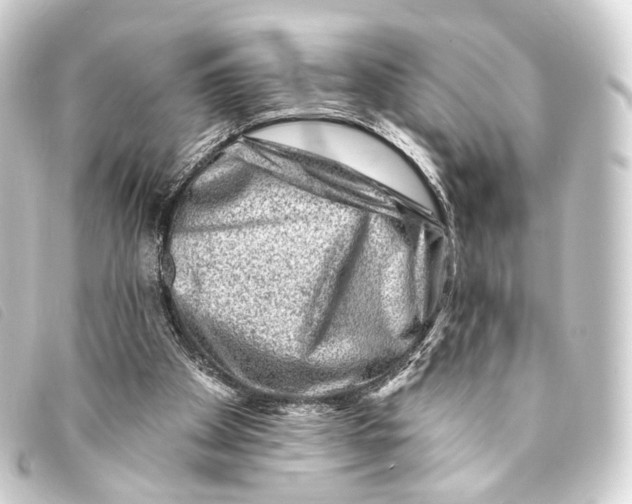X0000093210105200710241205