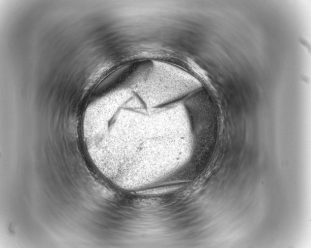X0000093210106200710241205