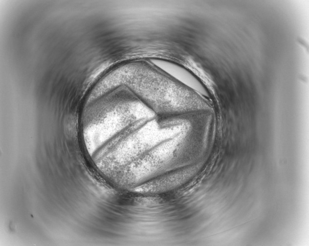 X0000093210107200710241205