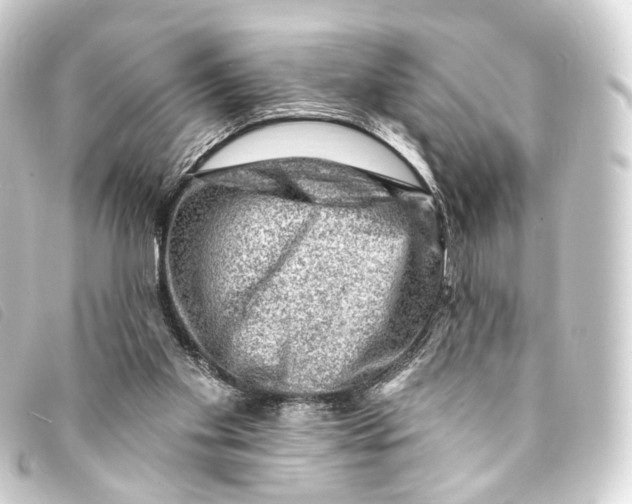 X0000093210109200710241205