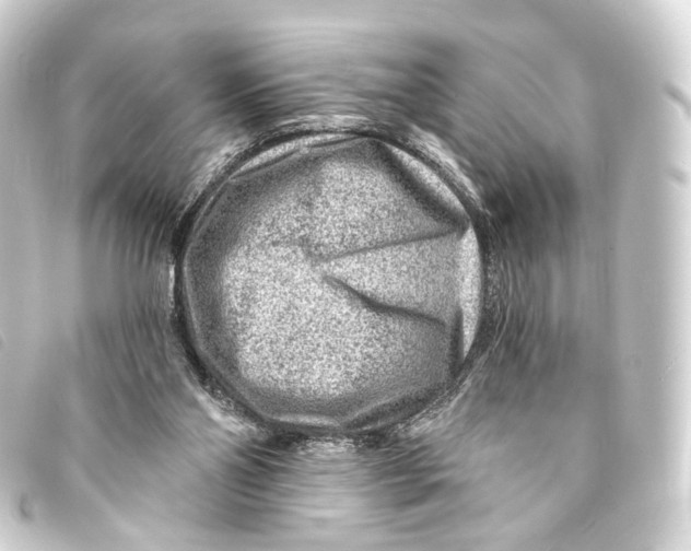 X0000093210110200710241205