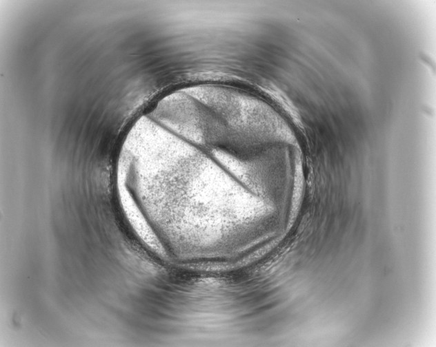X0000093210111200710241205
