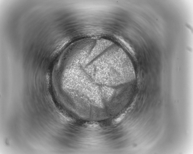 X0000093210113200710241205