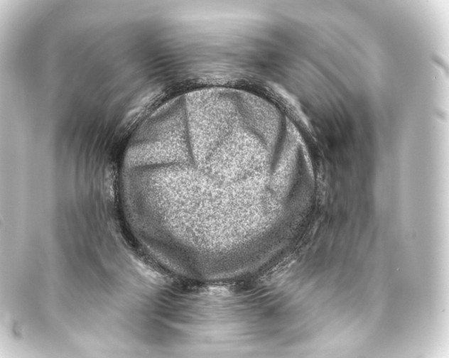 X0000093210114200710241205