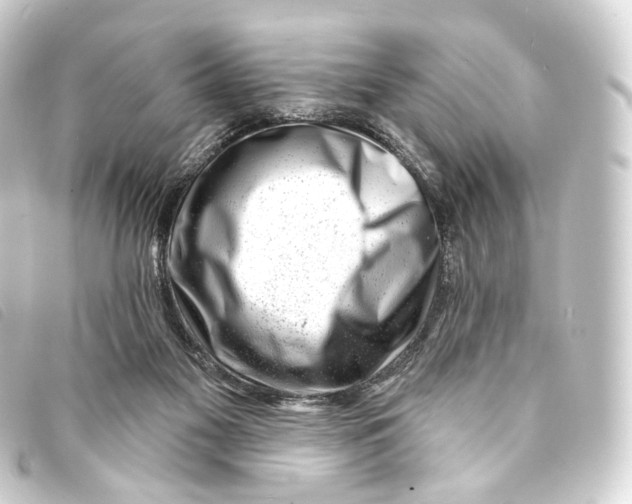X0000093210117200710241205