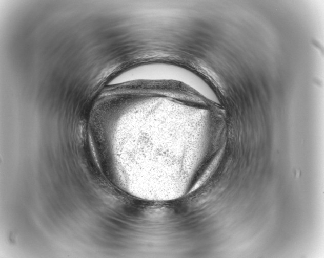 X0000093210119200710241205