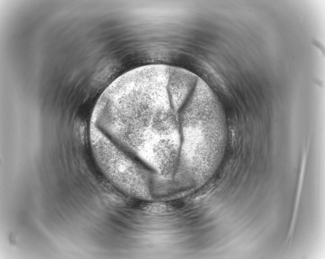 X0000093210123200710241205