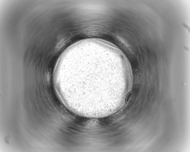 X0000093210124200710241205