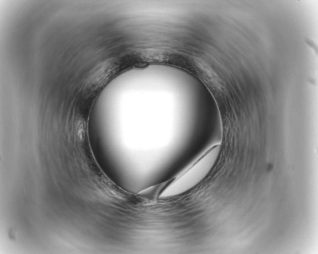 X0000093210125200710241205