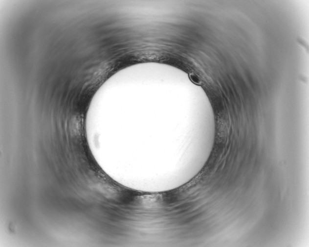 X0000093210126200710241205