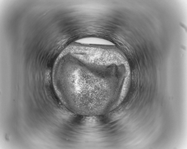 X0000093210127200710241205