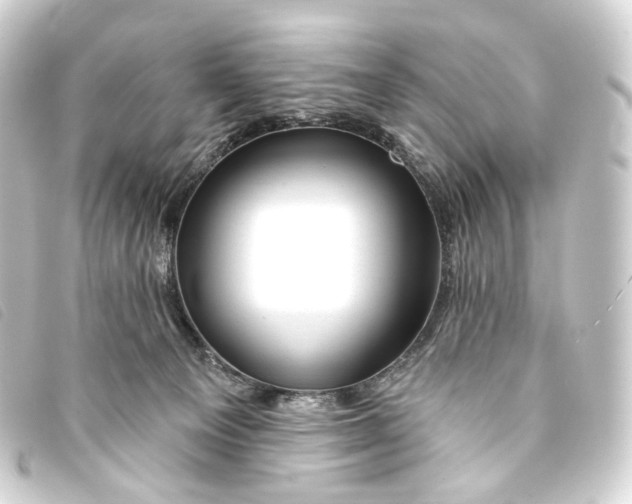 X0000093210129200710241205