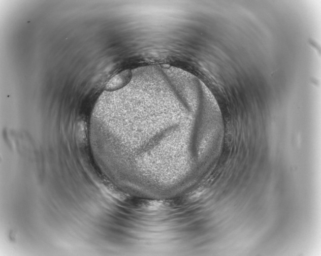 X0000093210130200710241205
